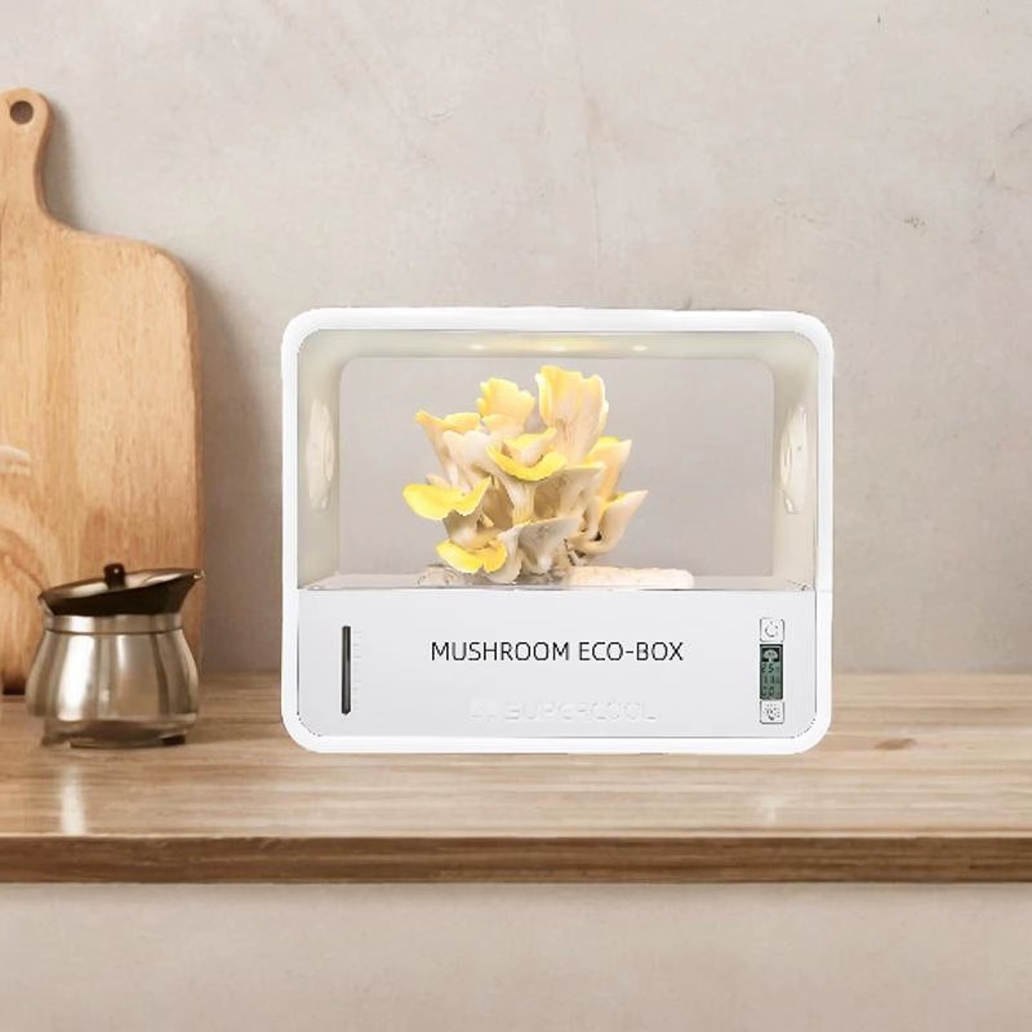Mushroom Grow Box Humidity Adjusts Temperature Space Saving Mushroom Fruiting Chamber for Planting Home Indoor Home Scientists