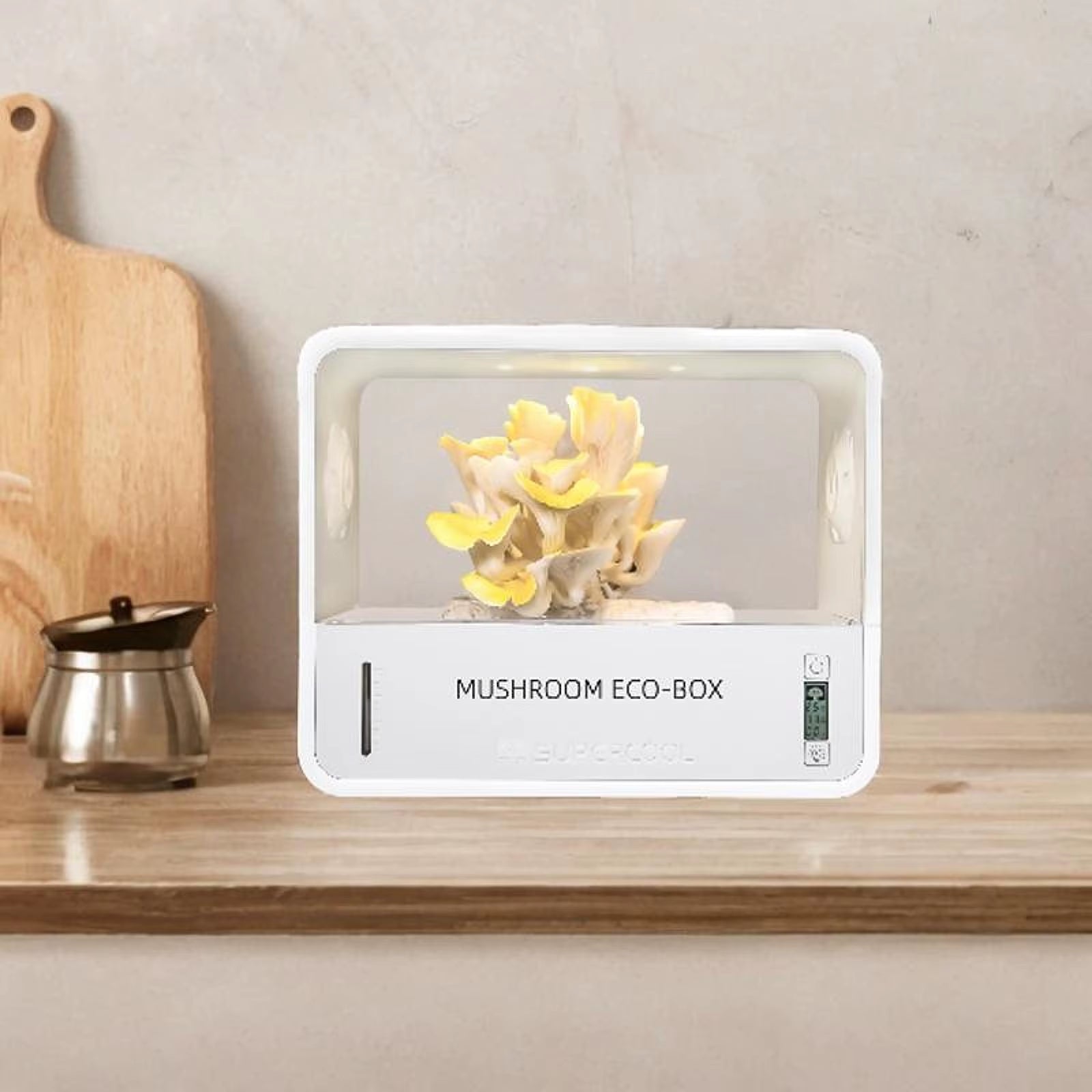 Mushroom Grow Box Humidity Adjusts Temperature Space Saving Mushroom Fruiting Chamber for Planting Home Indoor Home Scientists