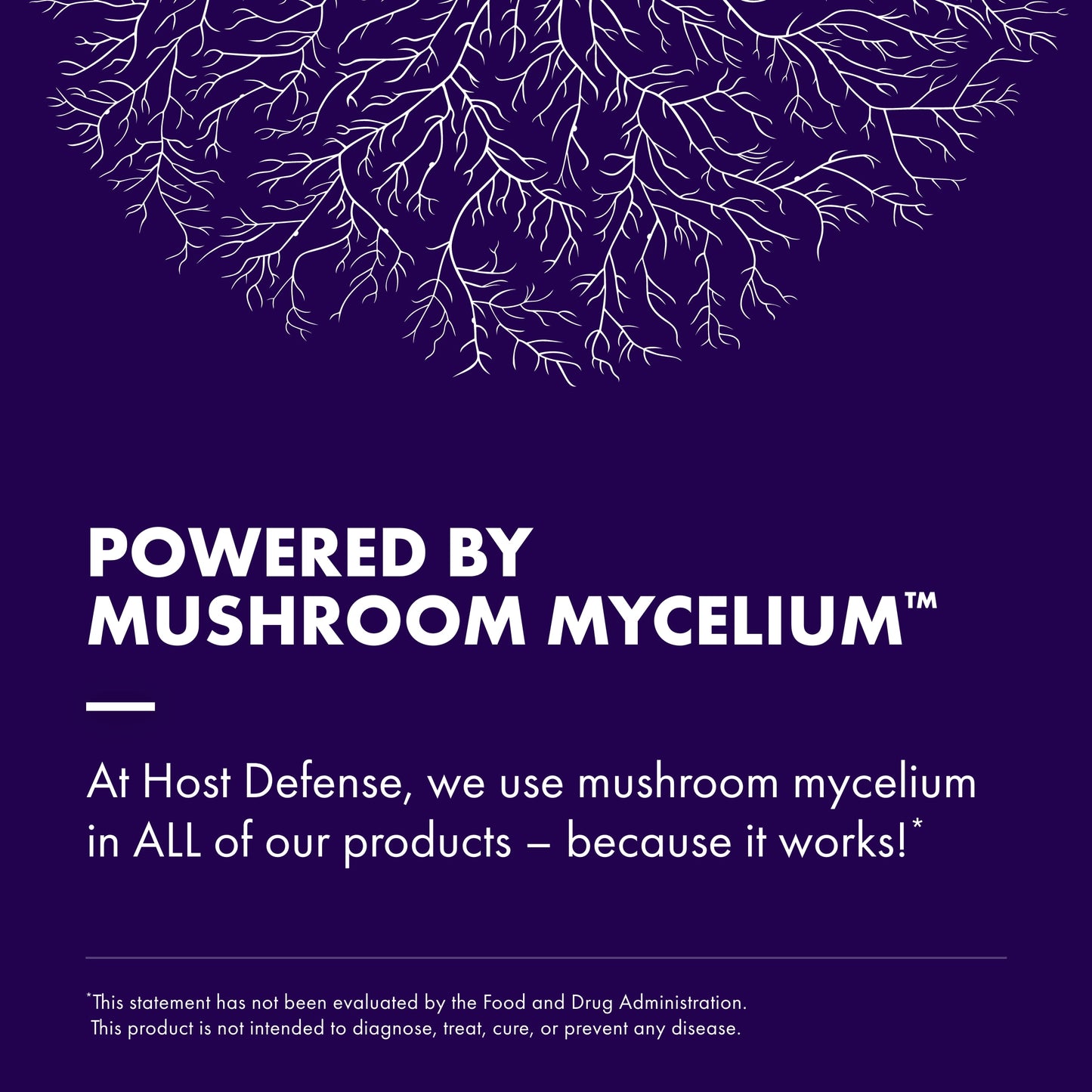 Mycobotanicals Brain & Body* Powder - 3.5 Oz (33 Servings)