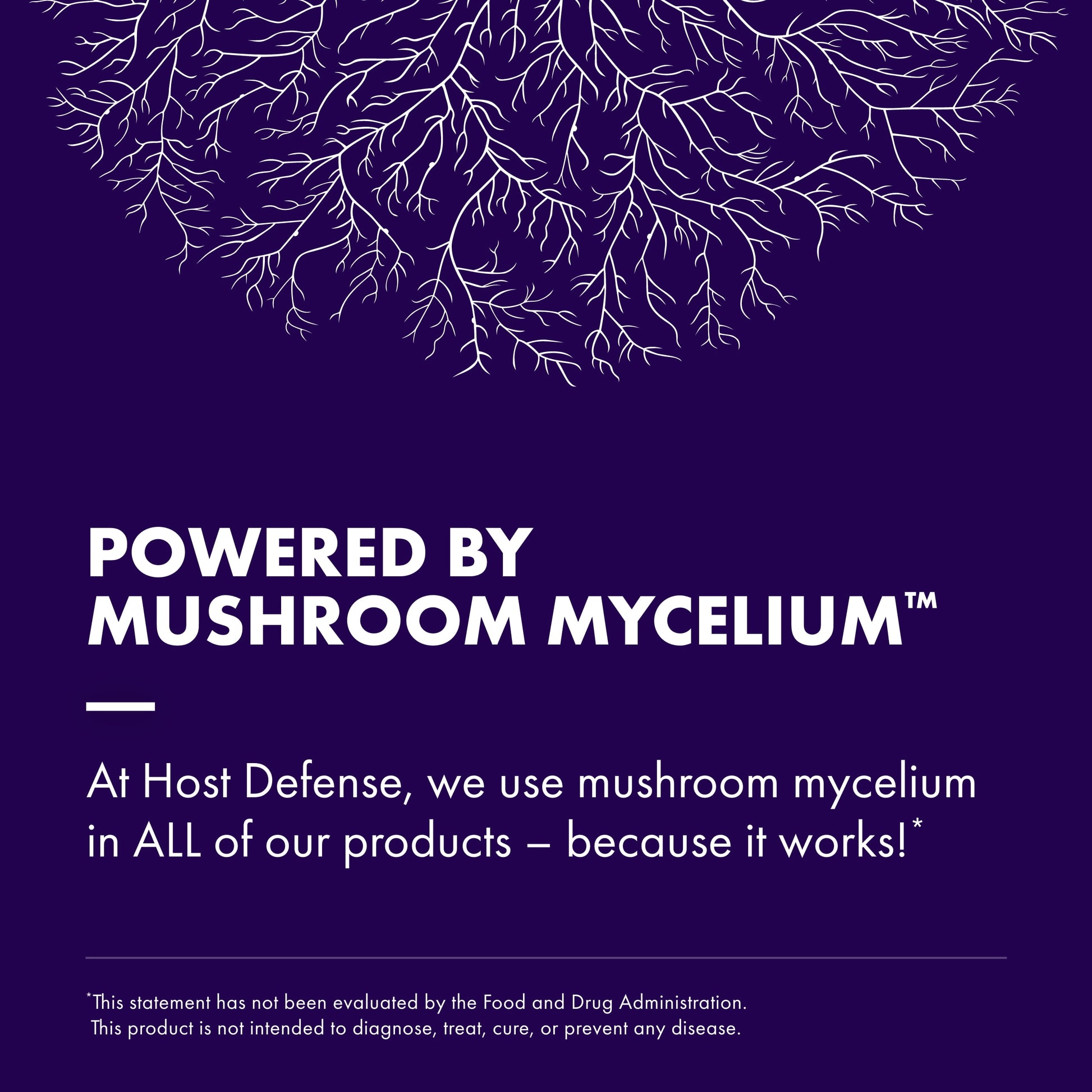 Mycobotanicals Brain & Body* Powder - 3.5 Oz (33 Servings)