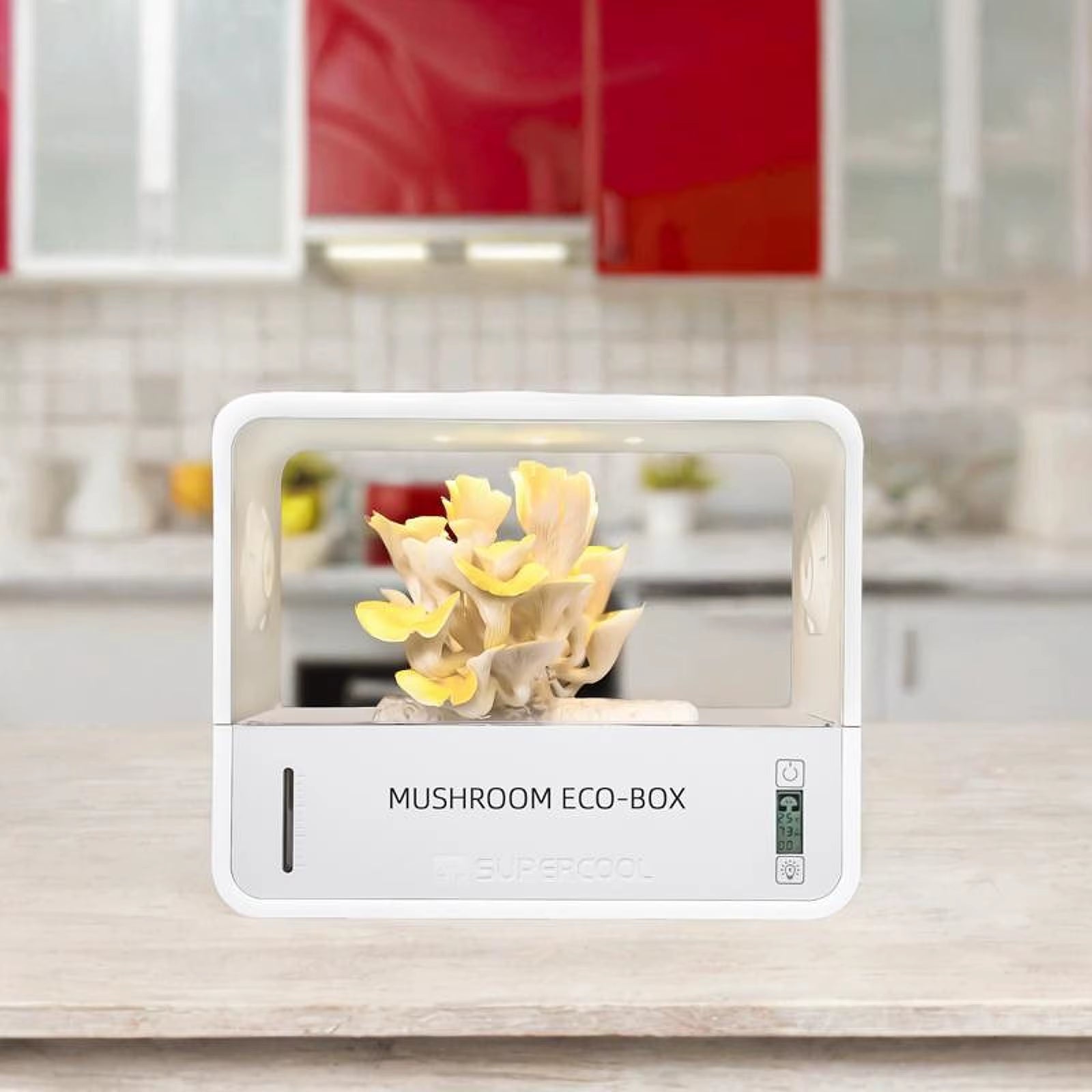 Mushroom Grow Box Humidity Adjusts Temperature Space Saving Mushroom Fruiting Chamber for Planting Home Indoor Home Scientists