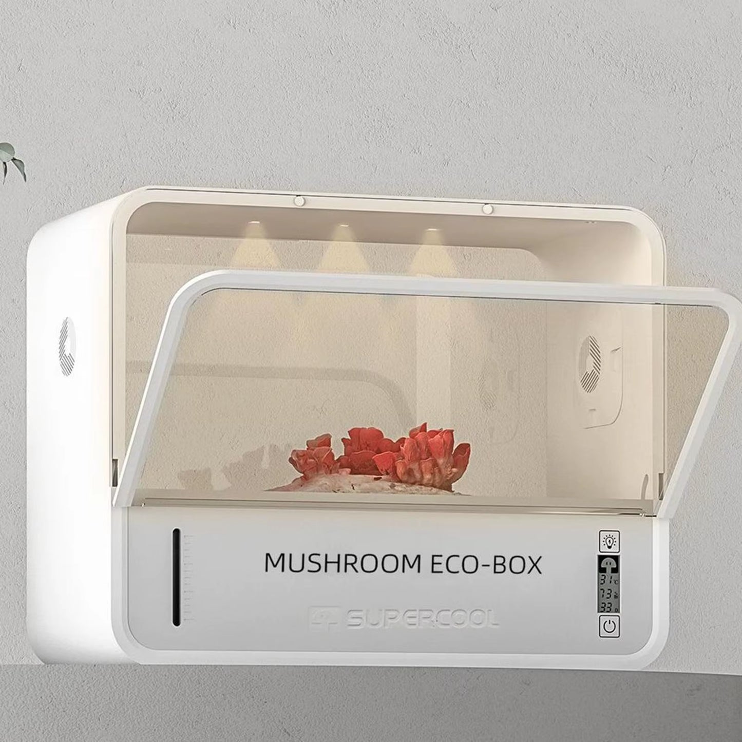 Mushroom Grow Box Humidity Adjusts Temperature Space Saving Mushroom Fruiting Chamber for Planting Home Indoor Home Scientists