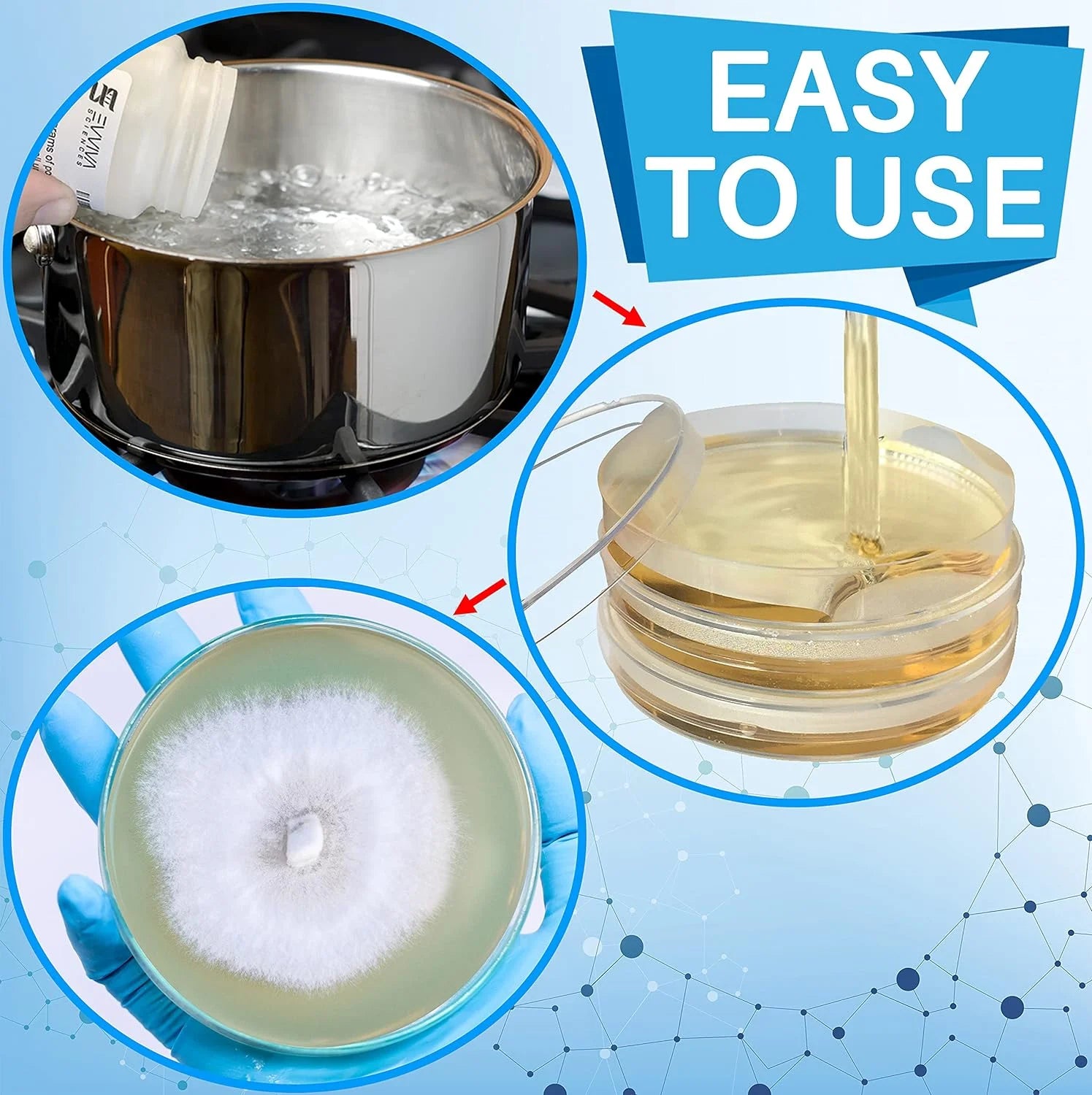 Malt Extract Agar Powder 100G by , Can Make over 100 Agar Petri Dishes, for Mold & Fungus, Ideal for Mushrooms & Science Projects