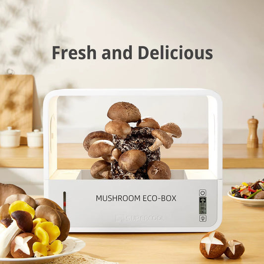 Mushroom Grow Box Humidity Adjusts Temperature Space Saving Mushroom Fruiting Chamber for Planting Home Indoor Home Scientists