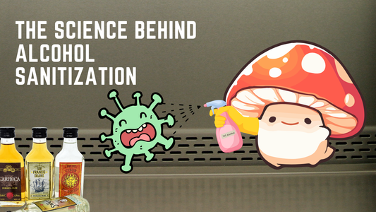 The Science Behind Alcohol Sanitization