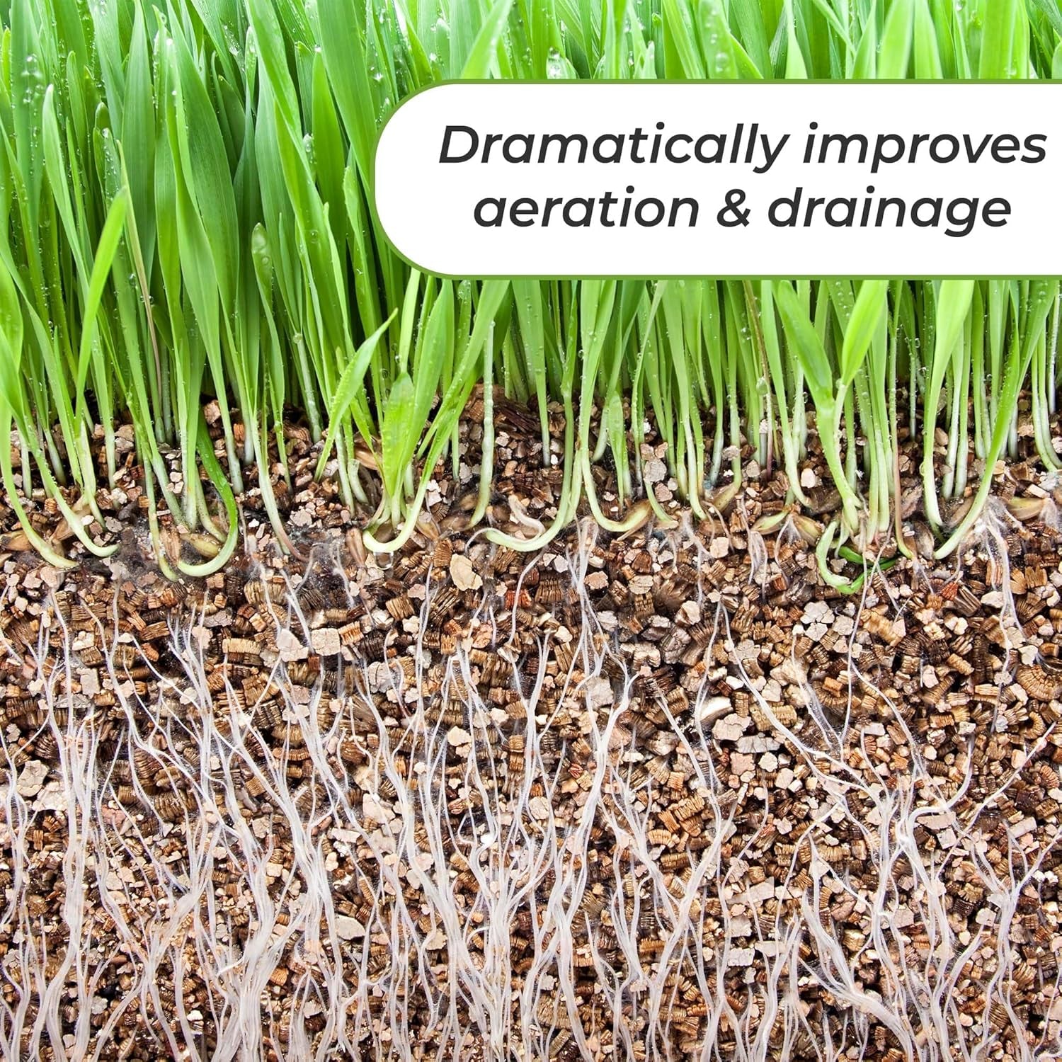 Organic Vermiculite by  - 8 Dry Quarts Natural Medium Grade Soil Additive for Potted Plants